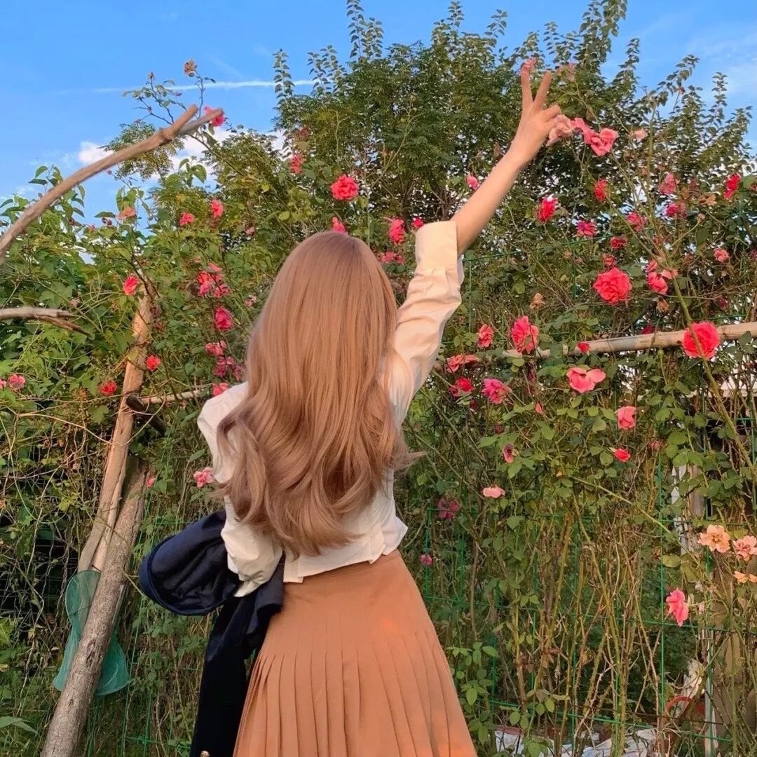 霹雳侠影之轰定干戈